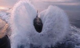 杀人鲸在线观看,揭秘杀人鲸的致命之谜